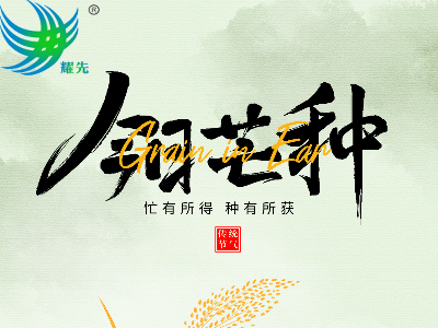 芒種遇世界環(huán)境日 | 耕耘希望，守護蔚藍：耀先環(huán)境與您共赴綠色之約